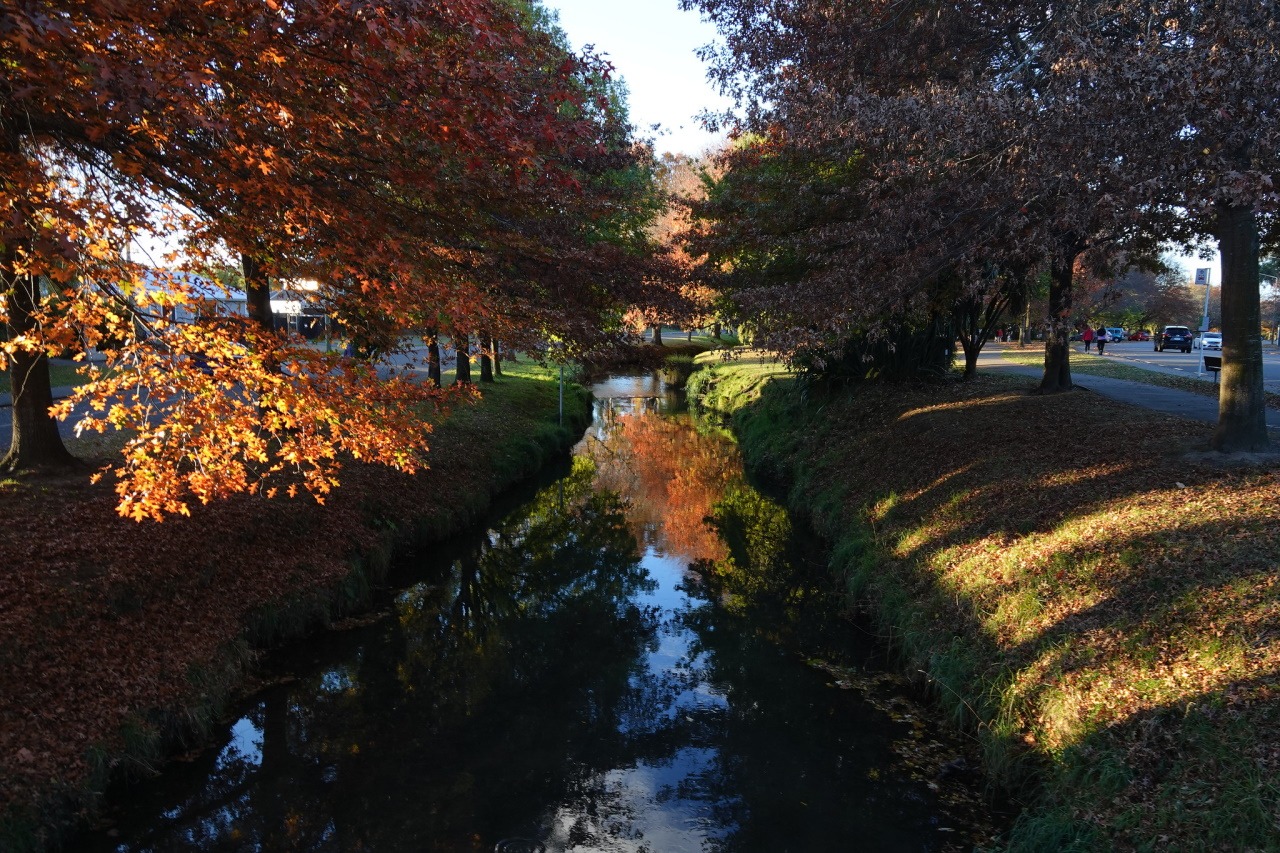 You are currently viewing Hope for the Ōpāwaho/Heathcote River