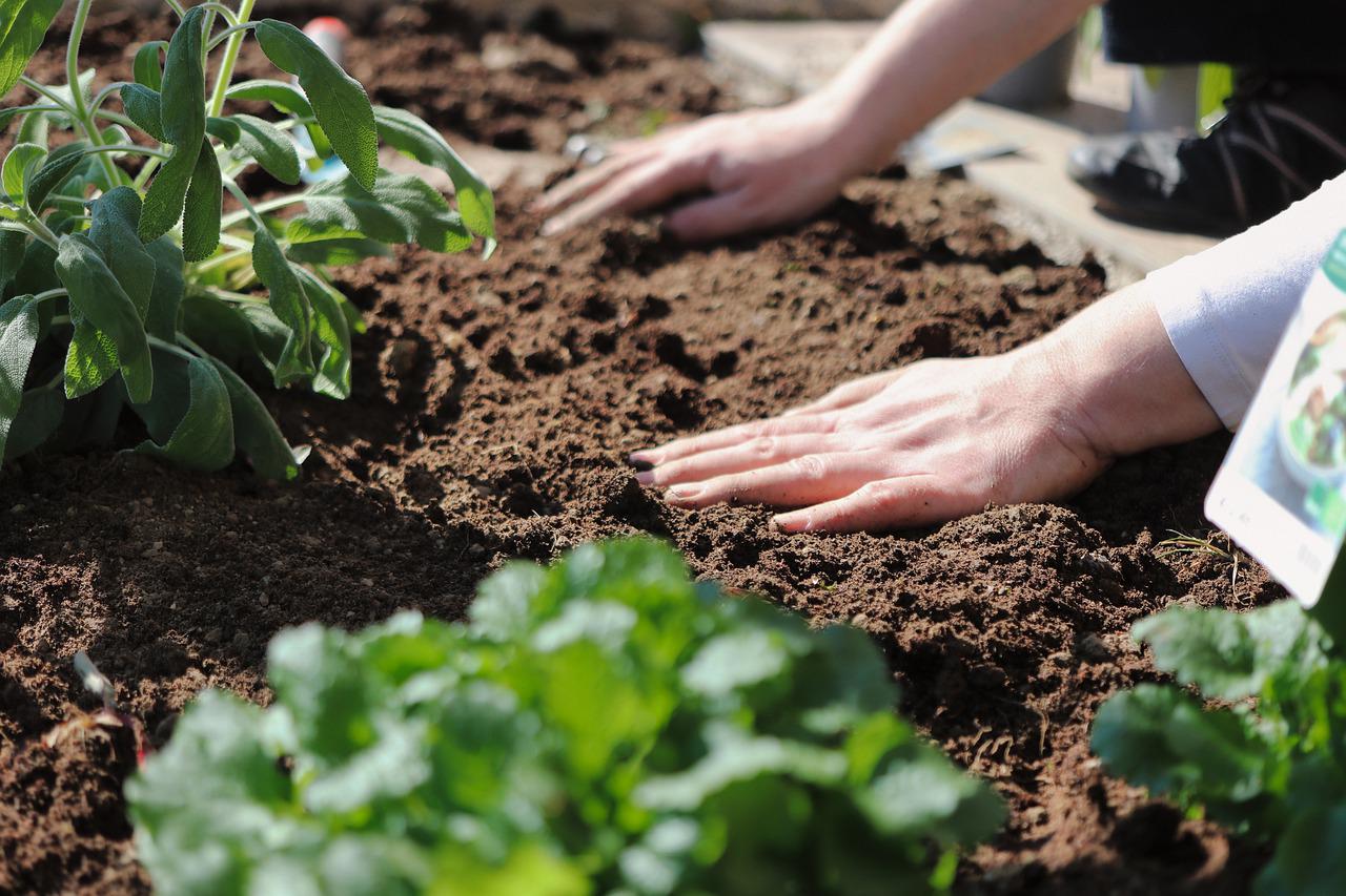 You are currently viewing The Beauty of Soil Part I