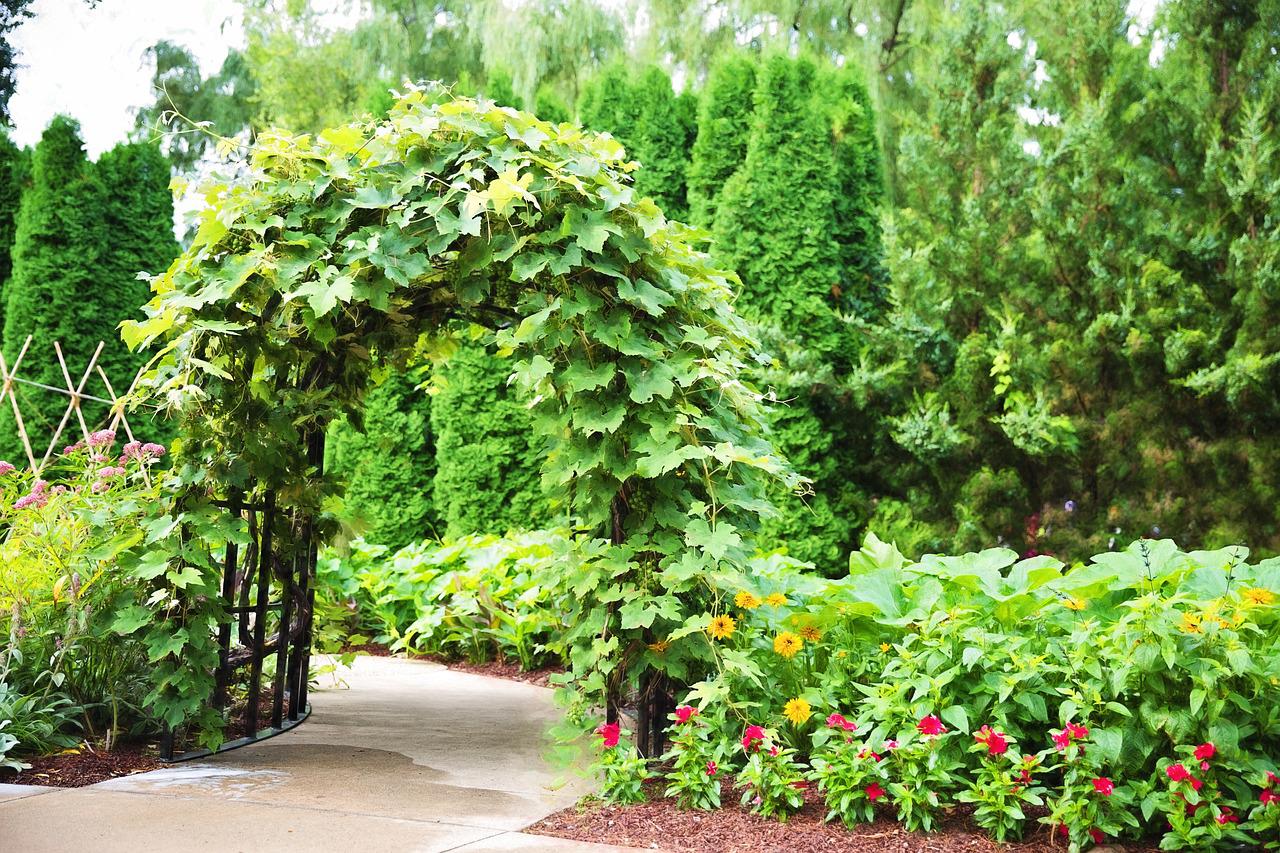 You are currently viewing An Arbour, Birdhouse Gourds and a Meter Reader