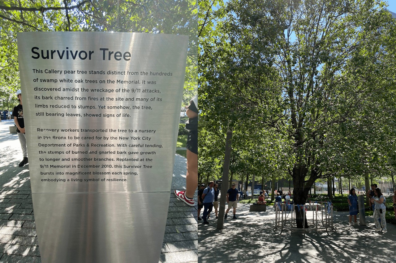 You are currently viewing From Survival to Solidarity