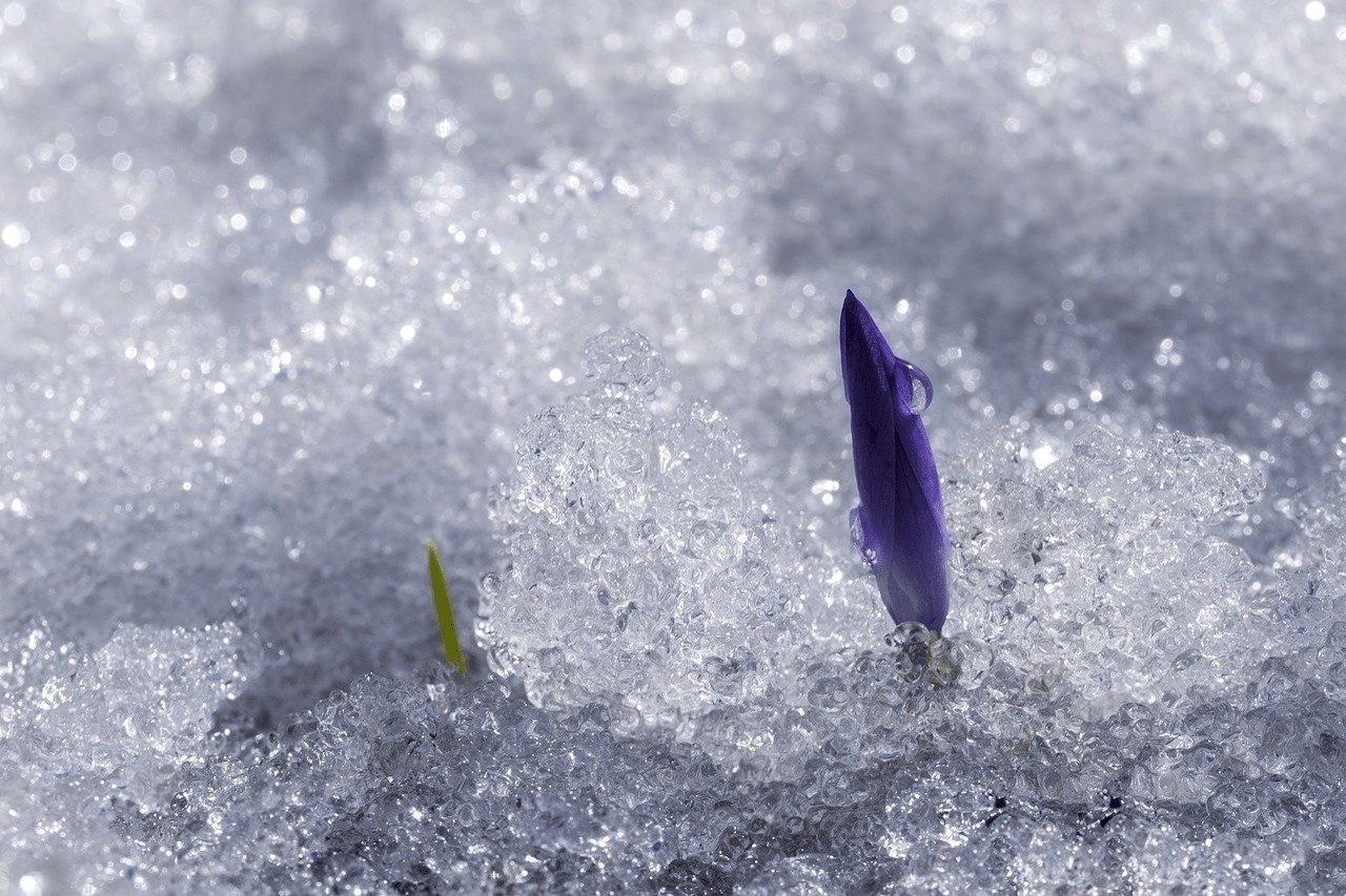 You are currently viewing On the Threshold of Lent 2024