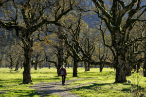 Read more about the article Exploring Green Spaces: Dr Michael Mosley