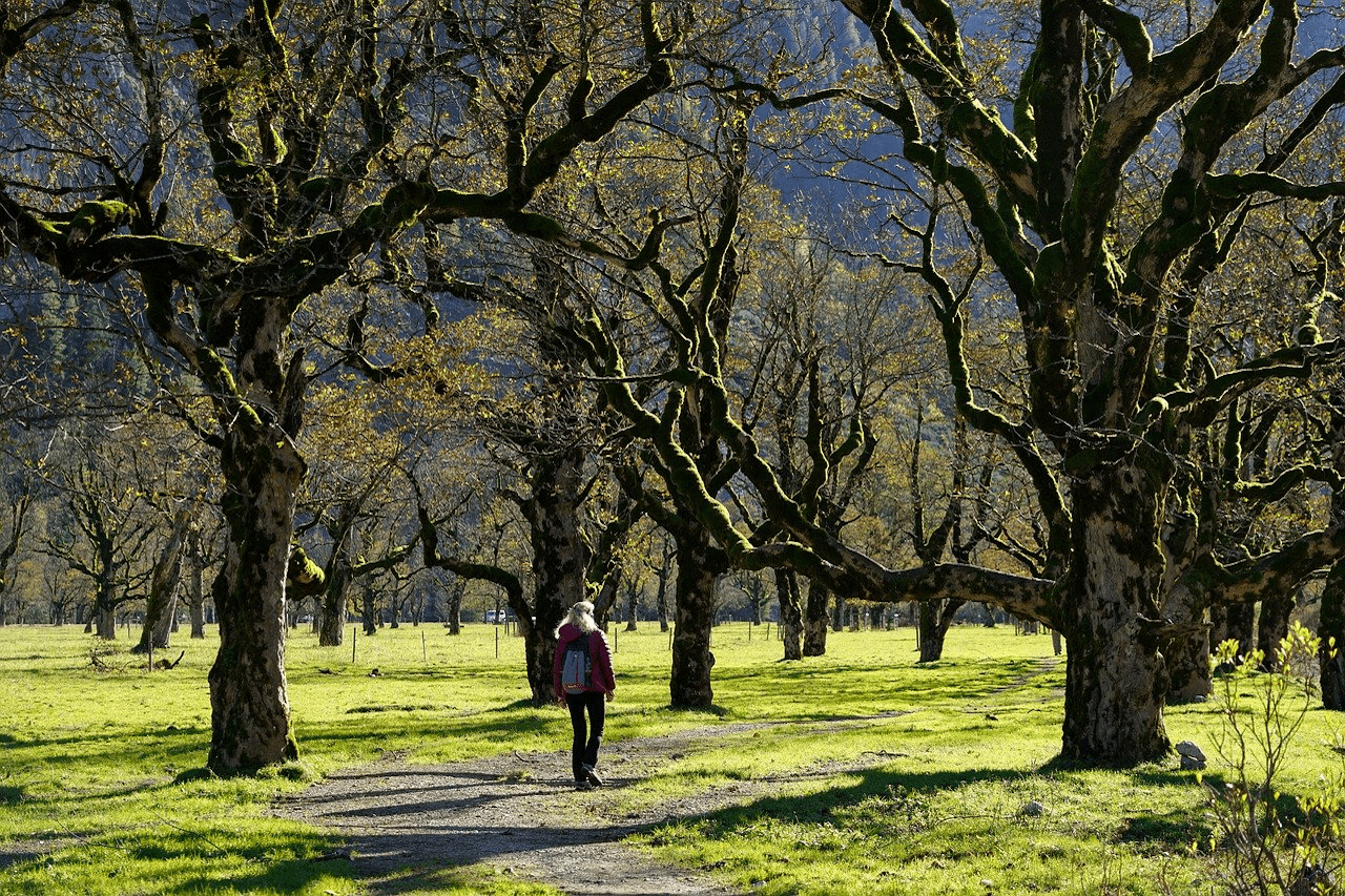 You are currently viewing Exploring Green Spaces: Dr Michael Mosley