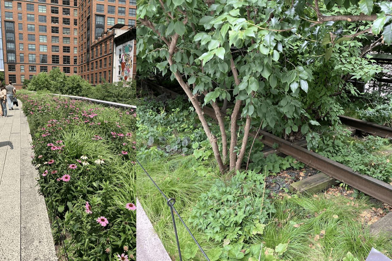 You are currently viewing Discoveries on the High Line