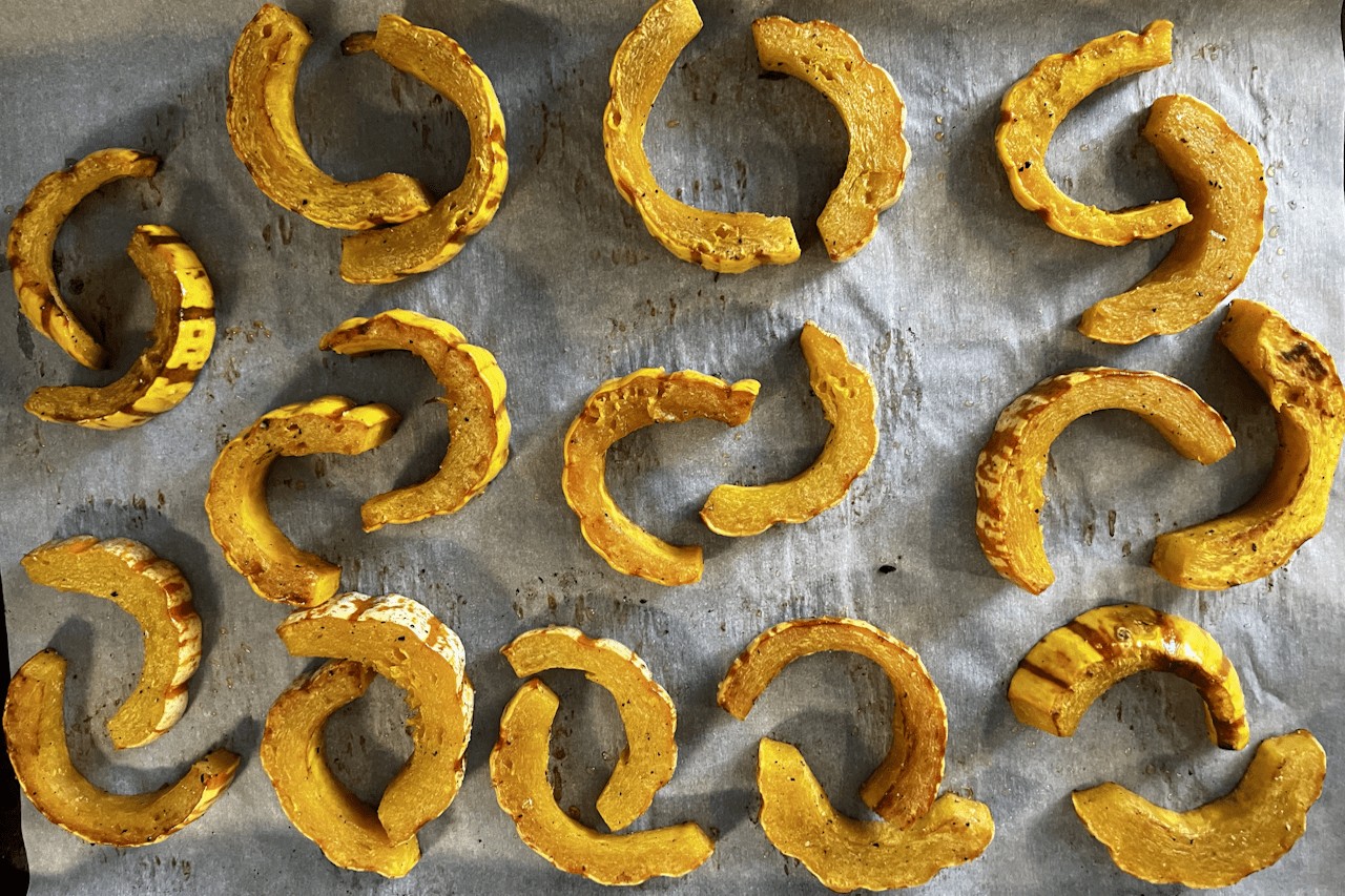 You are currently viewing Gardening ABCs: C is for Cucurbitaceae: Part 2