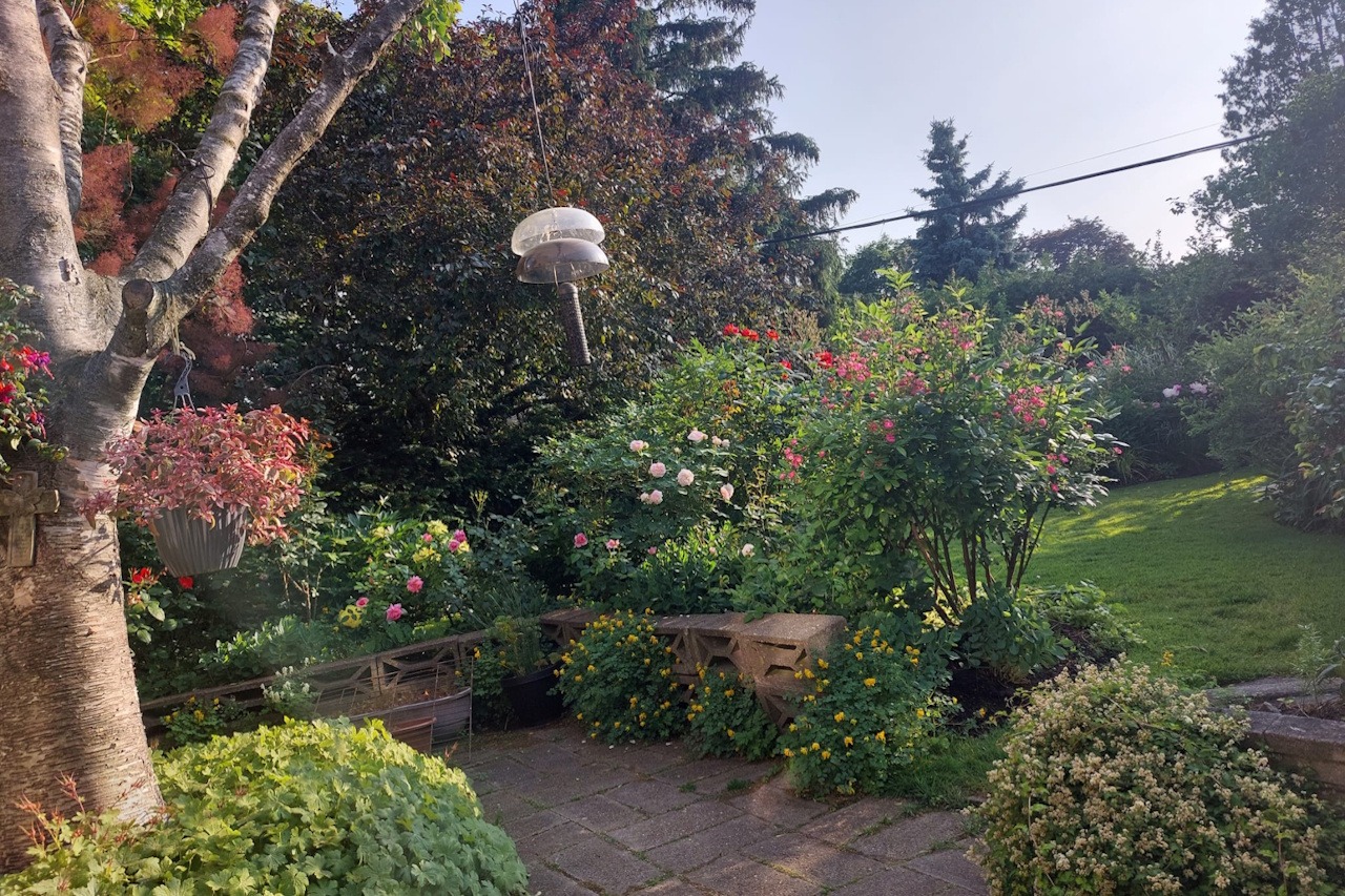 You are currently viewing A Caress of God: The Garden I Call Home