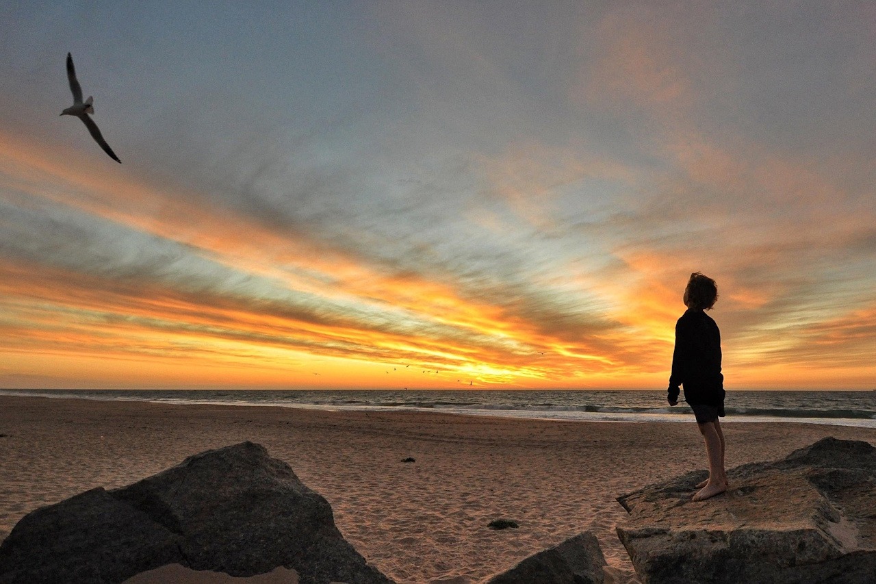 You are currently viewing Strong and Constant (Frank Andersen)