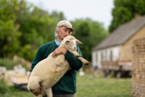 Read more about the article The Sheep and the Coin