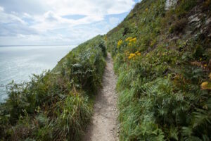 Read more about the article The True Cost of Discipleship