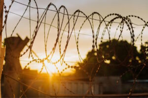 Read more about the article Clearing Away the Barbed Wire