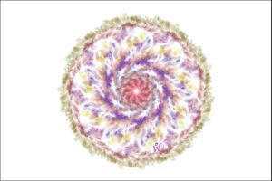 Read more about the article Bonfires in Cyberspace