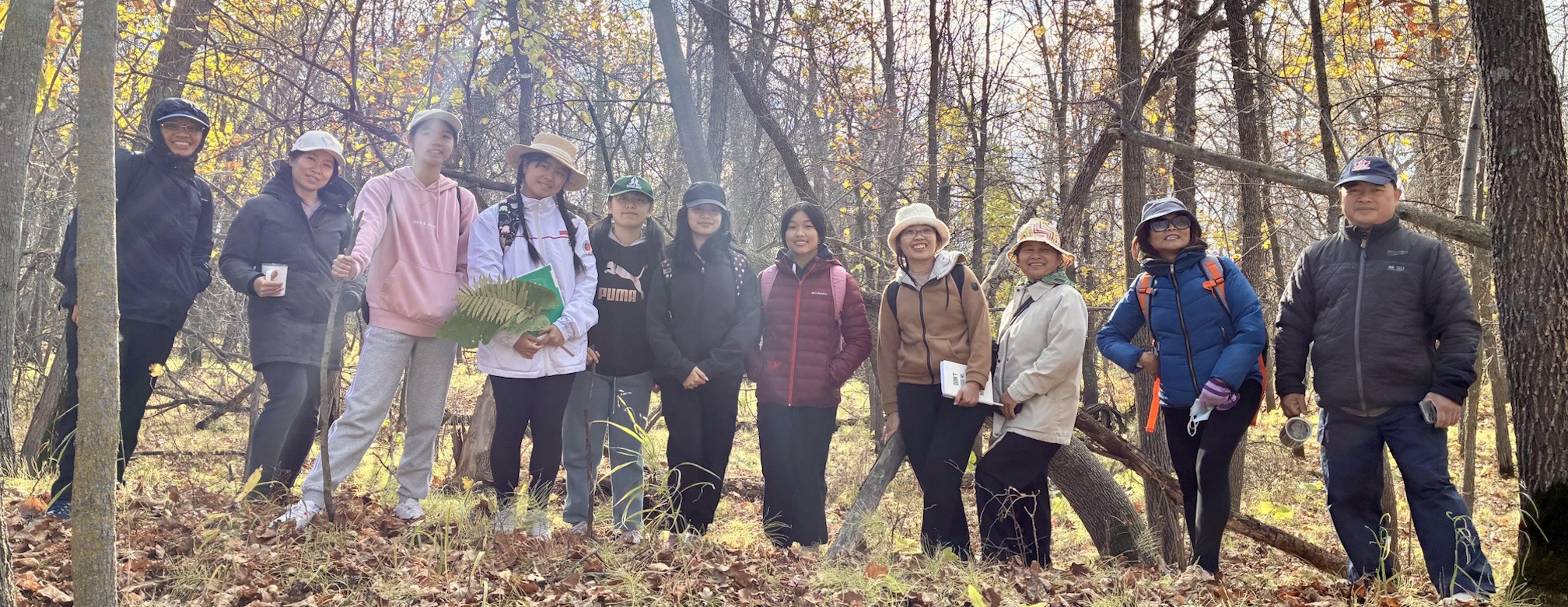 discernment title image