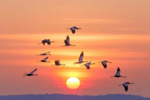 Read more about the article KYESE: A Call to Prayer, Communion, and Mission