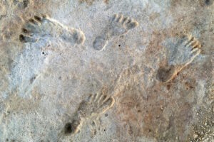 Read more about the article Learning to be Human