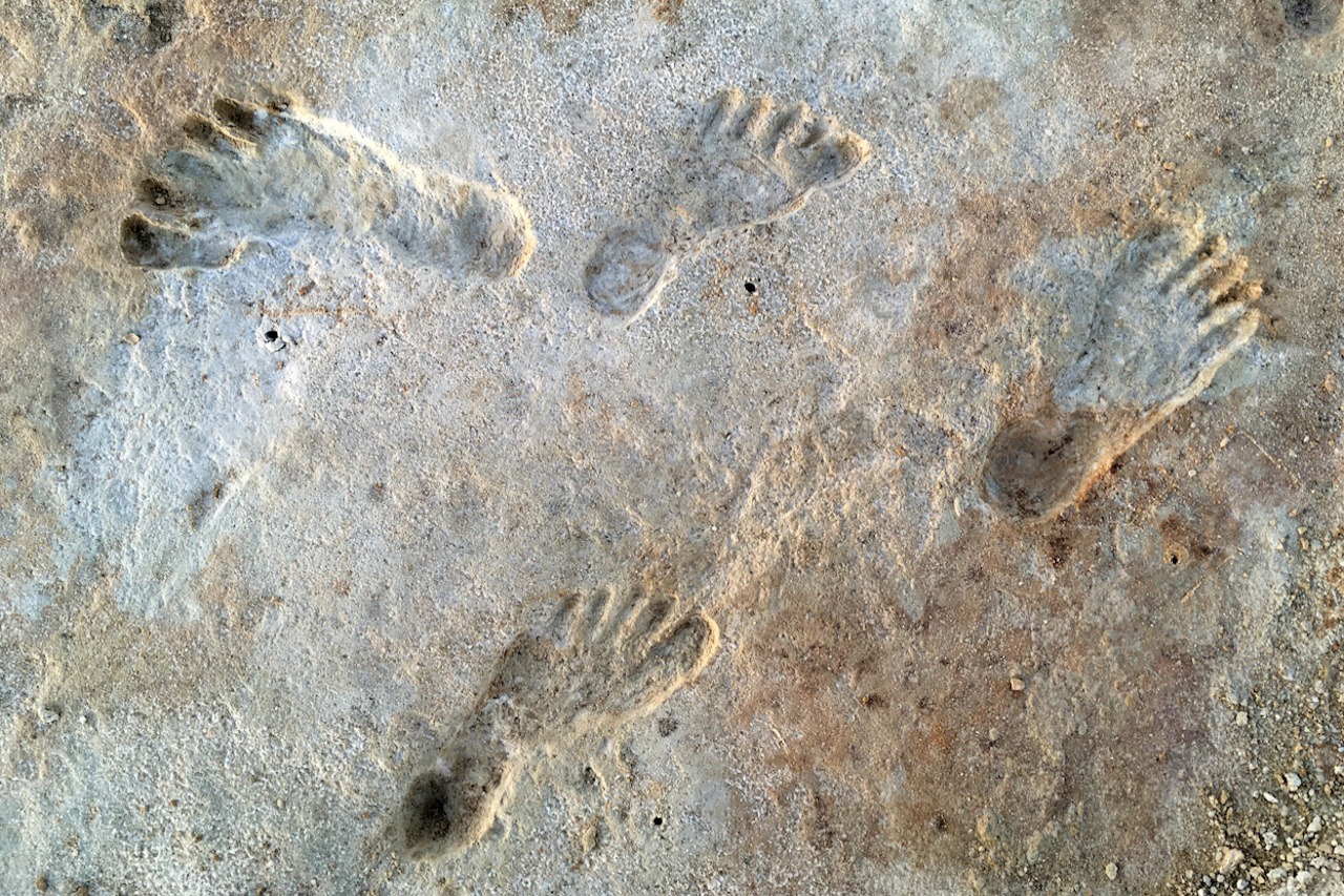 You are currently viewing Learning to be Human