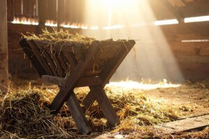 Read more about the article A Different Kind of King