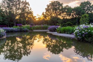 Read more about the article A Snake in the Garden