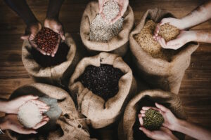 Read more about the article Seeds of Abundance