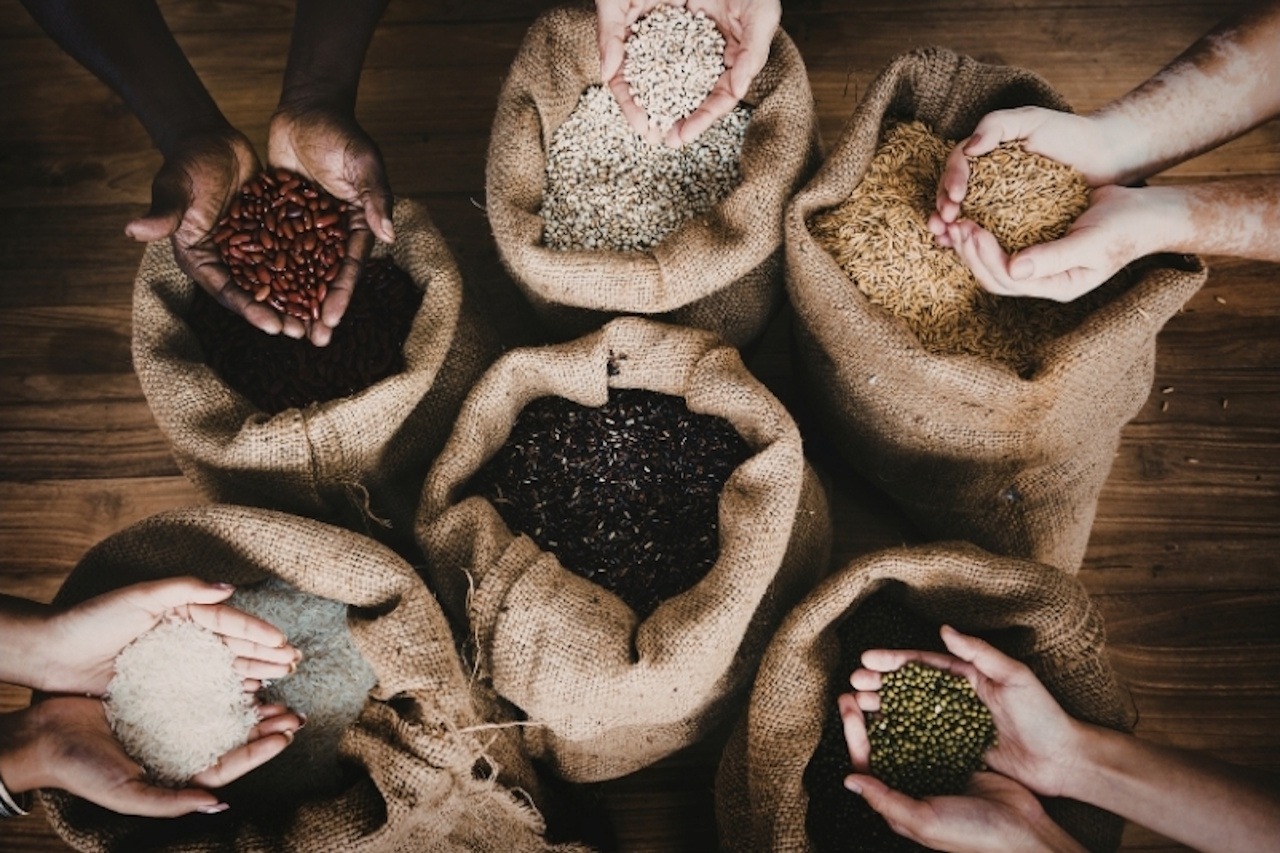 You are currently viewing Seeds of Abundance