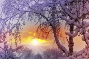 Read more about the article The Taste of Things: Hope Abides