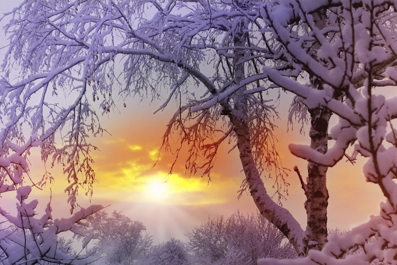 You are currently viewing The Taste of Things: Hope Abides