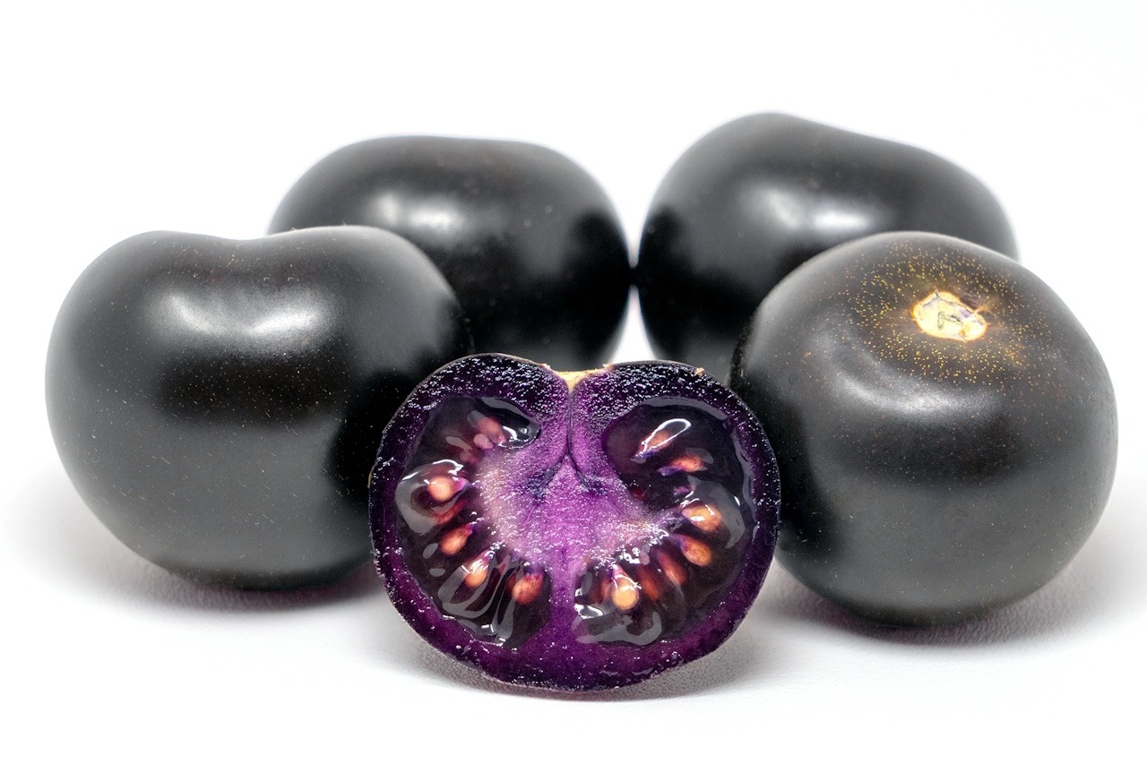You are currently viewing Why Do We Need Another Purple Tomato?