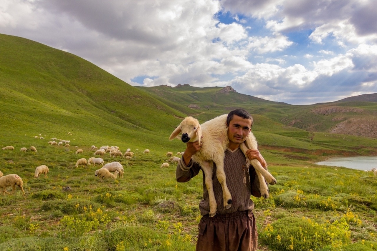 You are currently viewing Beyond Clericalism: Following the Good Shepherd Together