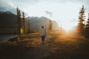 Read more about the article Rooted Beyond Fear