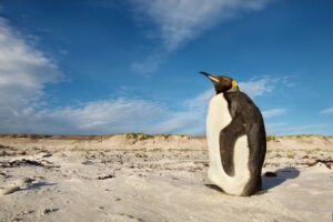 Read more about the article Do You Believe in Climate Change, or Do You Deny It?