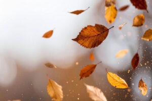 Read more about the article Leaving: A Poem